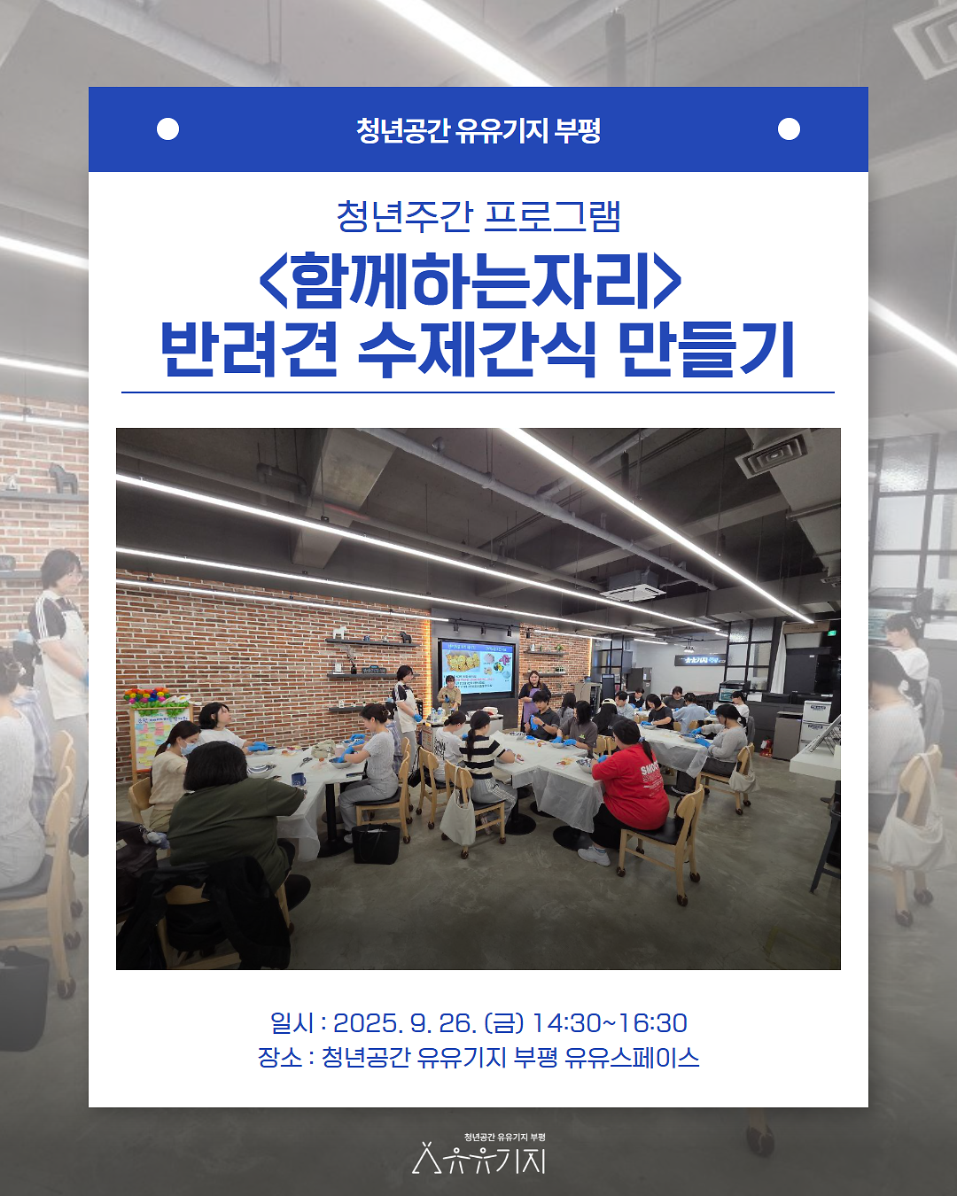 [청년주간] <함께하는 자리> 반려견 수제간식 만들기 프로그램 후기 사진