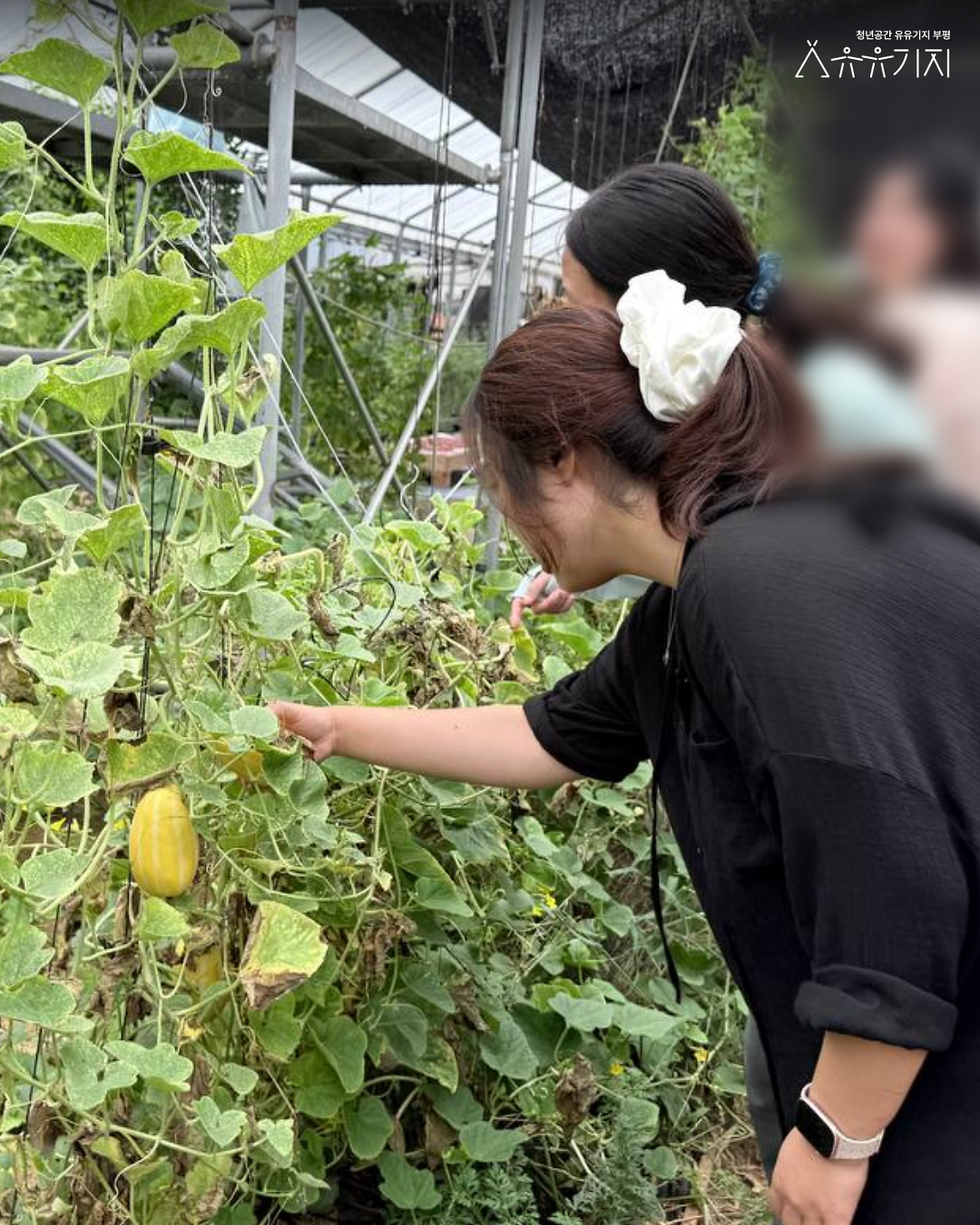 260822_청설모_4기_감각수집_2회차카드뉴스_3.png 이미지
