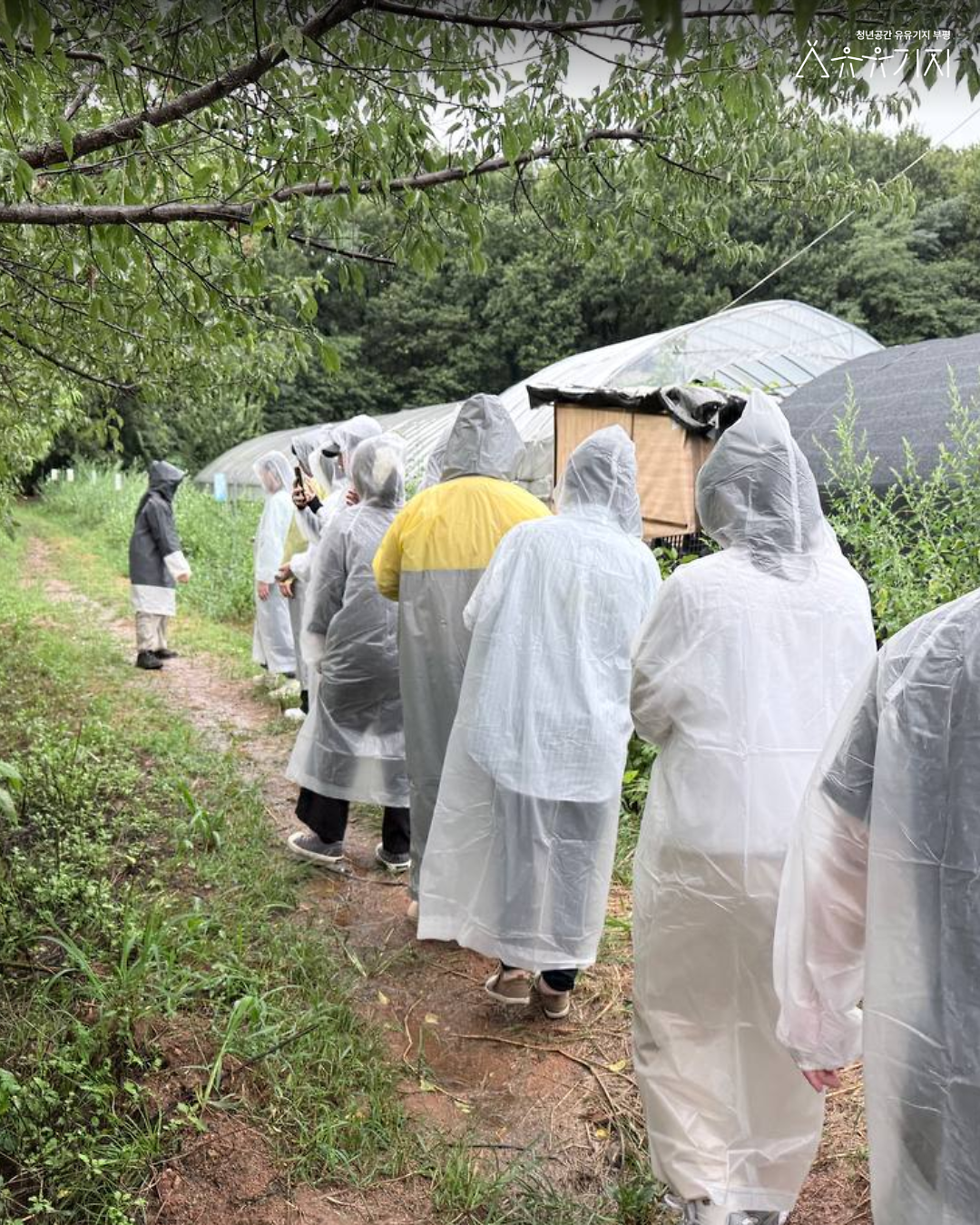 260822_청설모_4기_감각수집_2회차카드뉴스_7.png 이미지