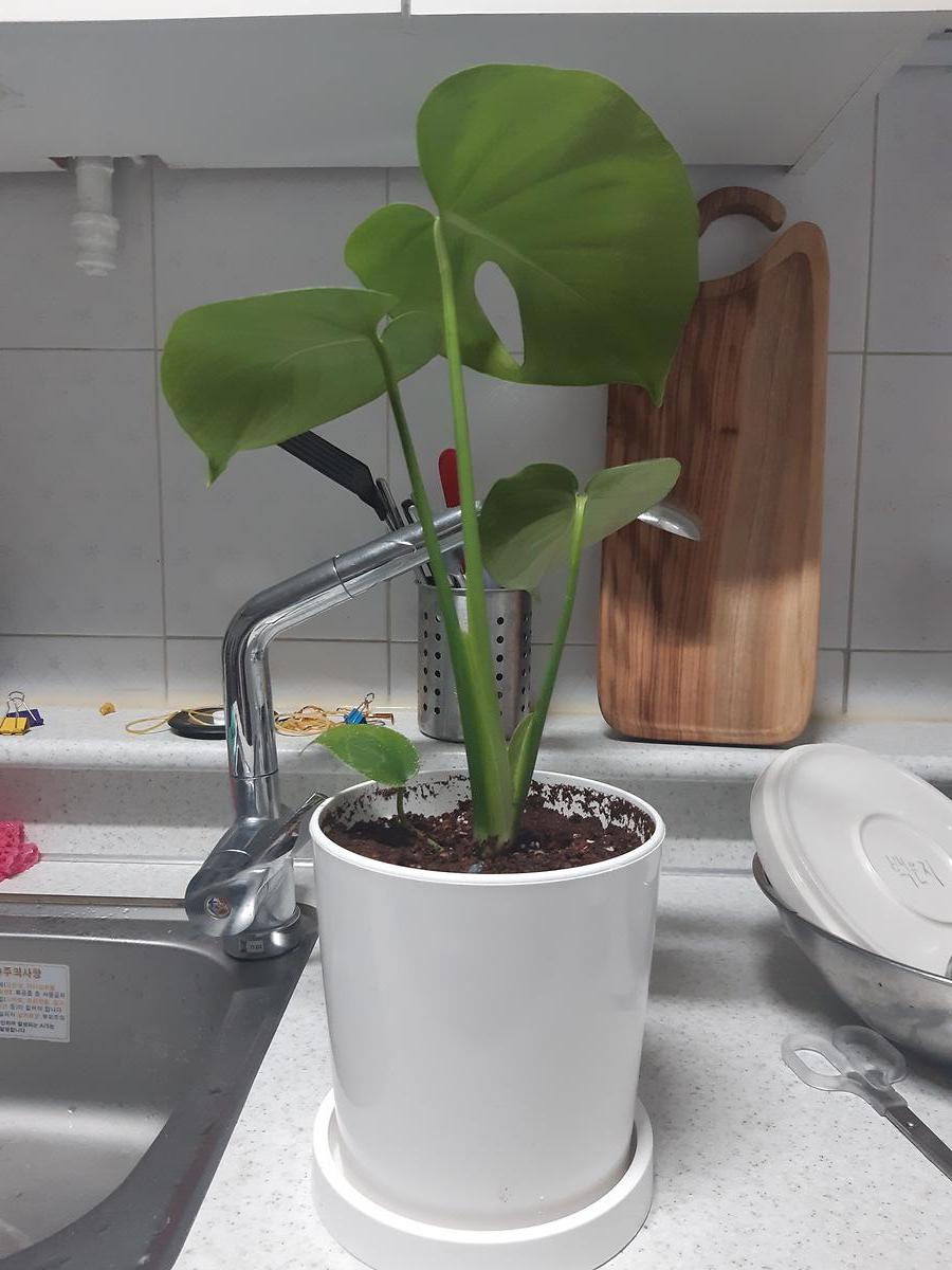 참여 후기 사진