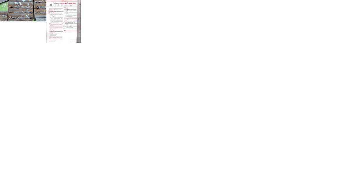 6월_읏샤빠샤_활동성과2.png 이미지