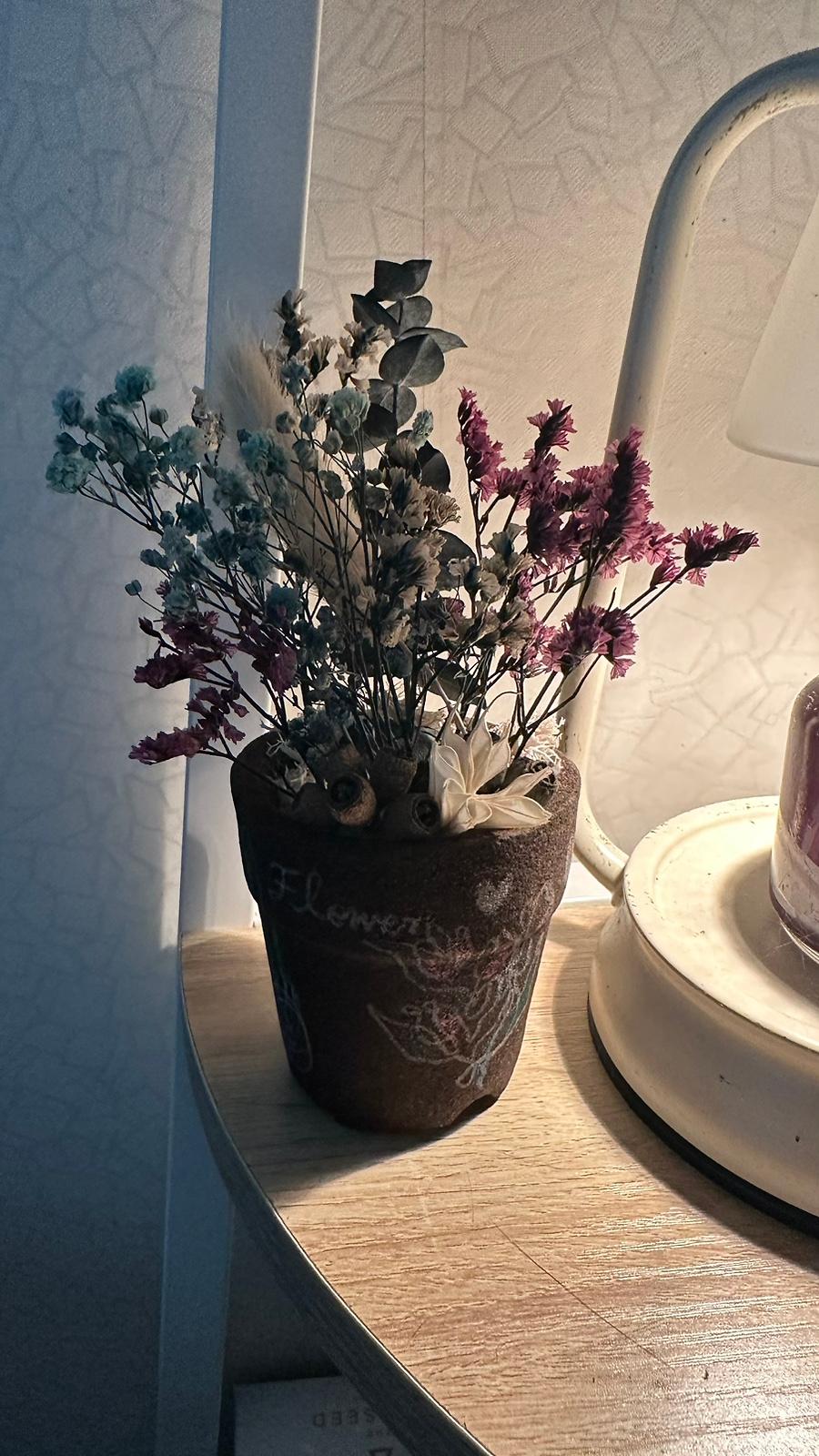 IMG＿2955.jpg 이미지