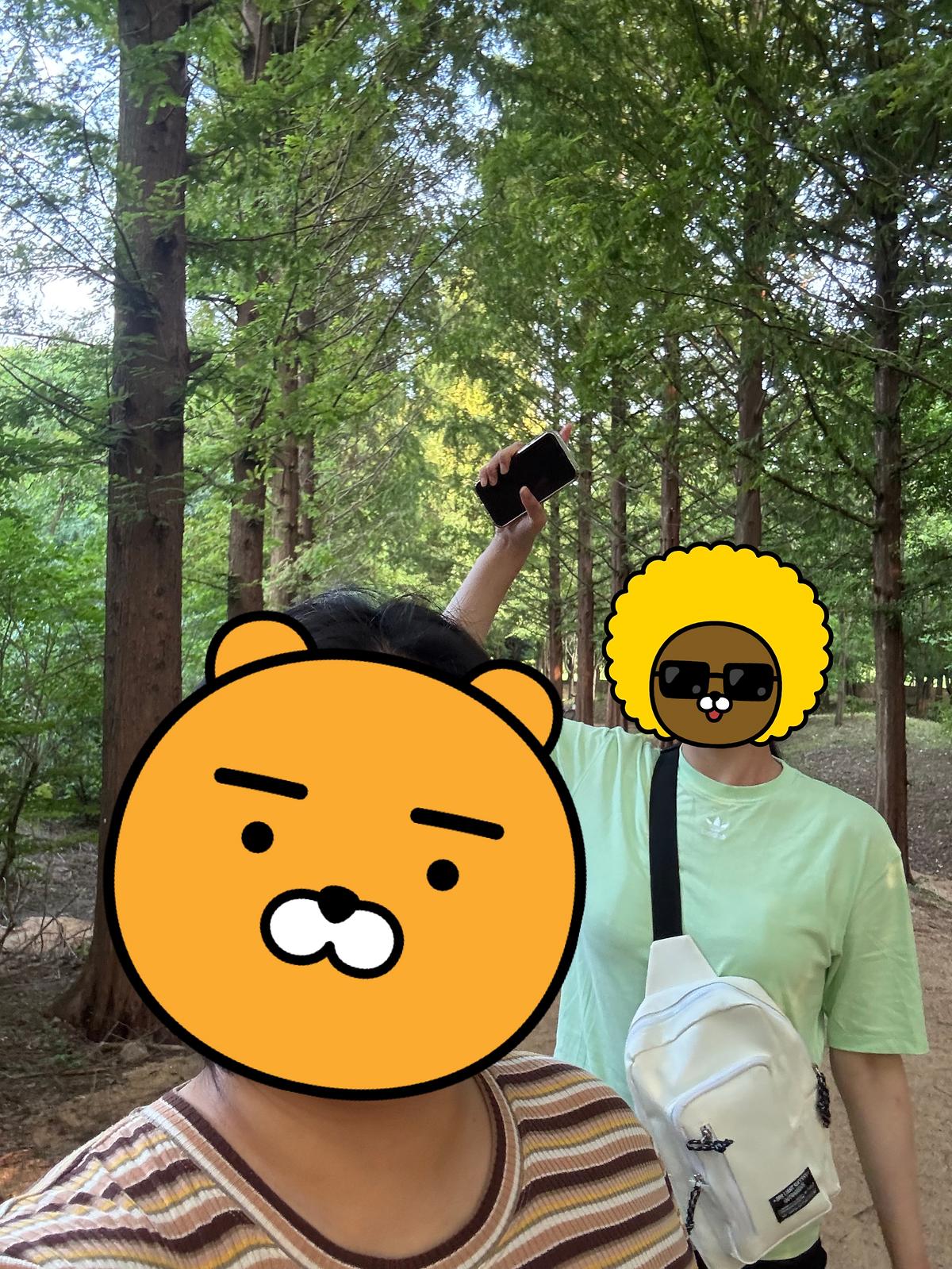 5.jpg 이미지