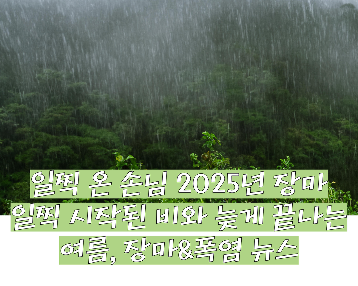 일찍 온 손님 2025년 장마 – 일찍 시작된 비와 늦게 끝나는 여름, 장마&폭염 뉴스 사진