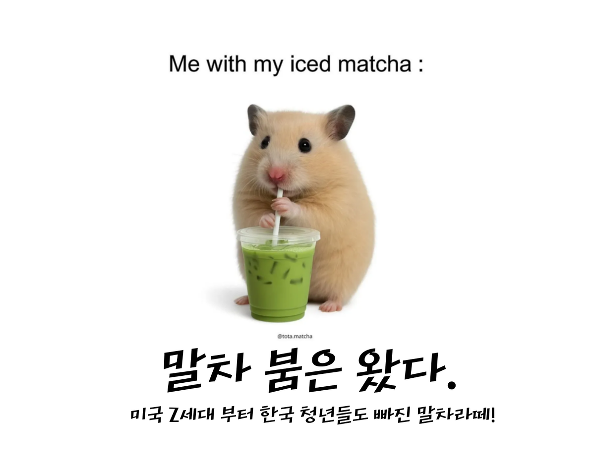 말차 붐은 왔다. 미국 Z세대 부터 한국 청년들도 빠진 말차라떼!  사진