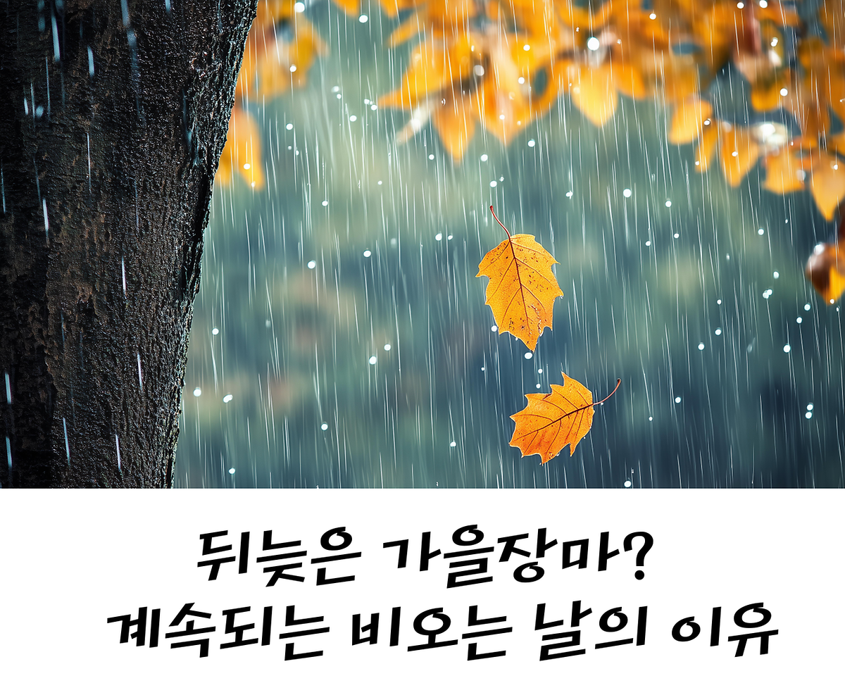 뒤늦은 가을장마? 계속되는 비오는 날의 이유 사진