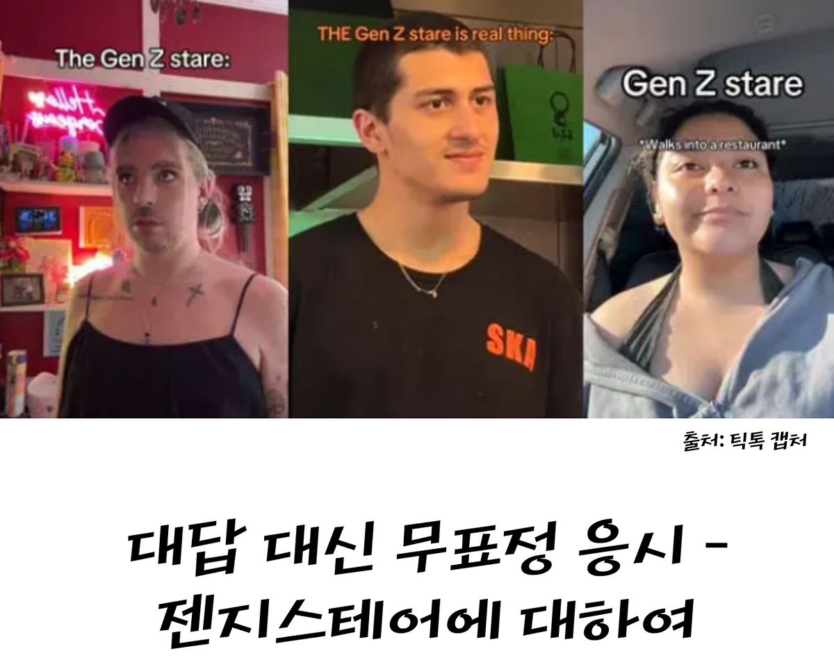 대답 대신 무표정 응시 - 젠지스테어에 대하여 사진