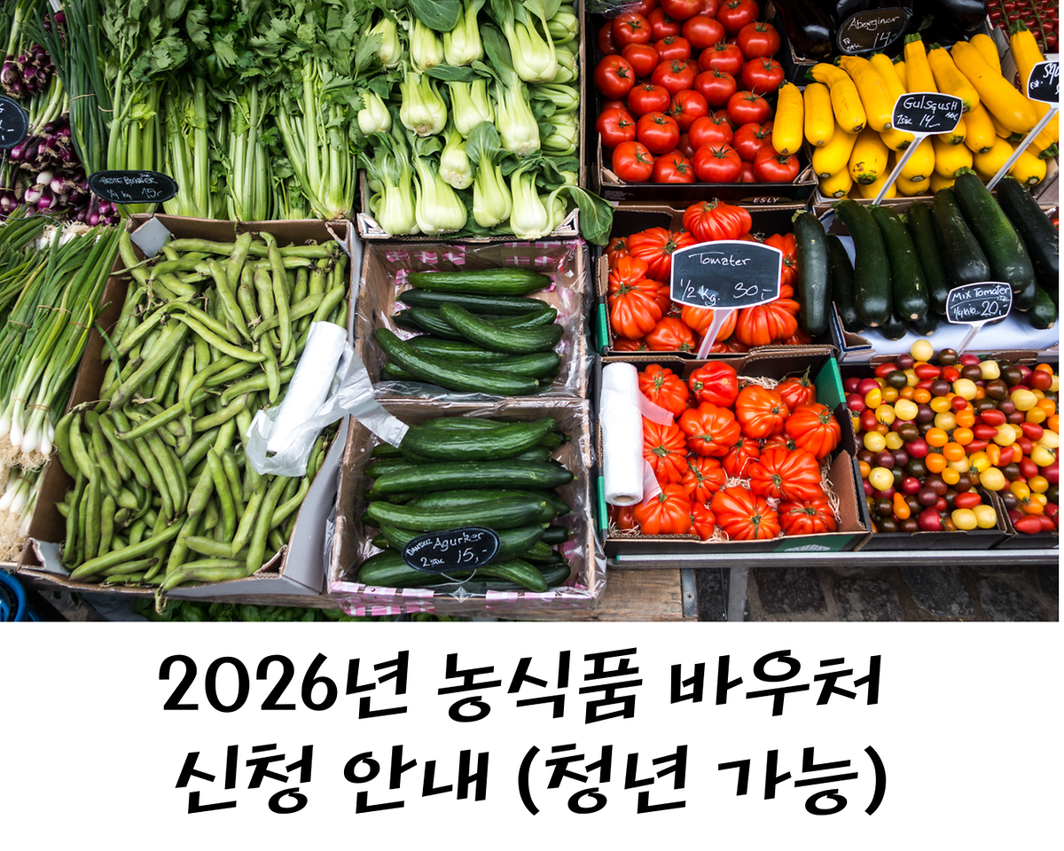 꿈터레터-035.png 이미지