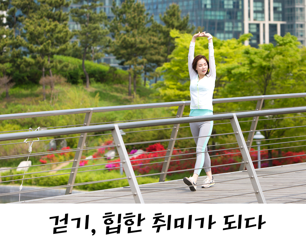 걷기, 힙한 취미가 되다 사진