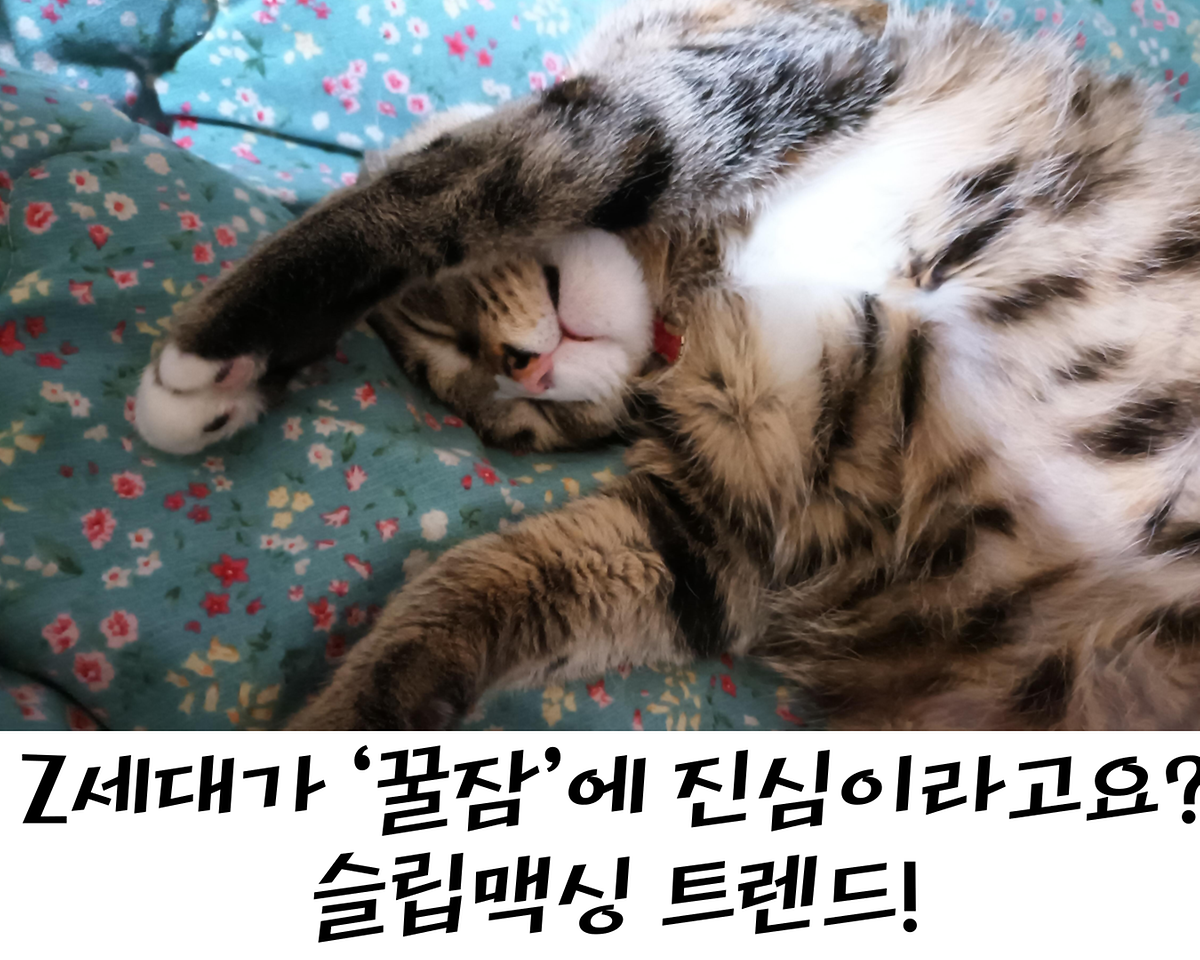 슬립맥싱_-015.png 이미지