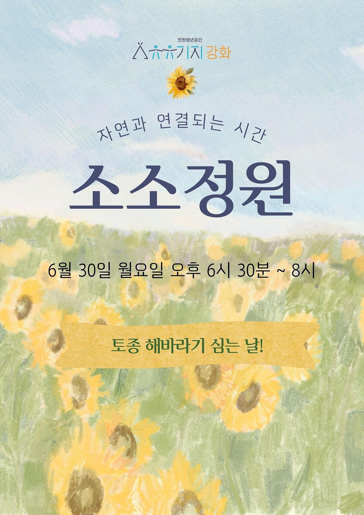 [유유기지 강화]🌻6월 소소정원 - 해바라기 심기 프로그램🌻 사진