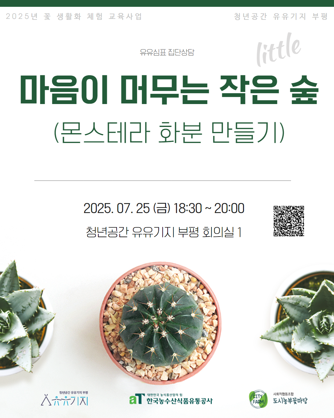 [유유심(心)표 집단상담] 마음이 머무는 작은 숲(몬스테라 화분 만들기) 모집마감