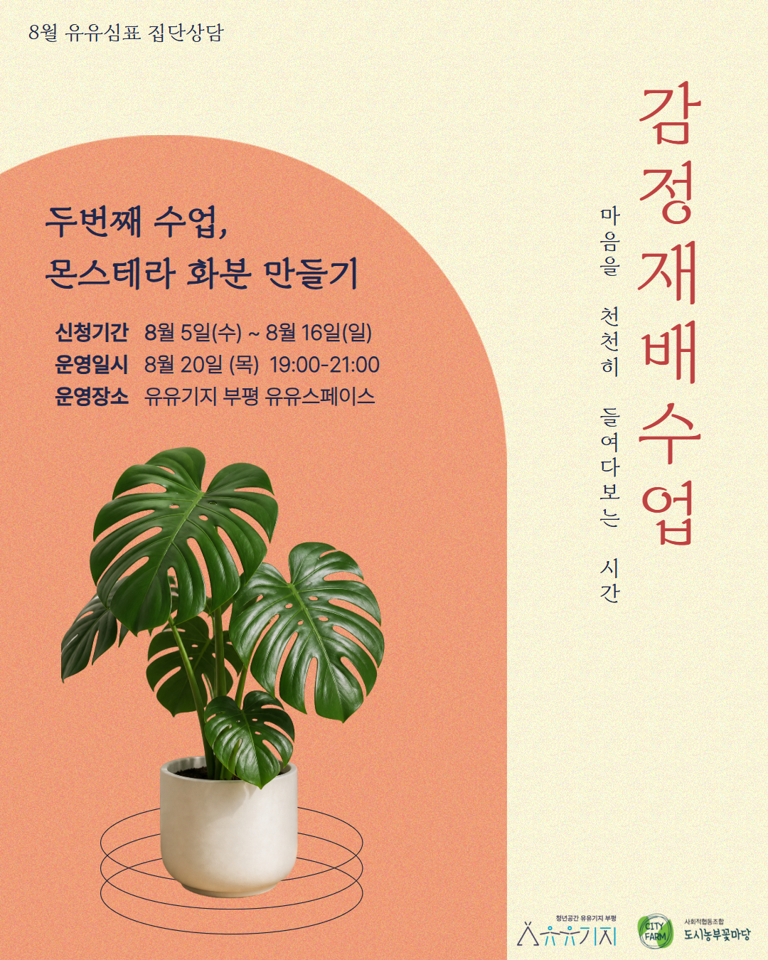 [유유심(心)표 집단상담] <감정 재배 수업-몬스테라 화분 만들기> 모집마감