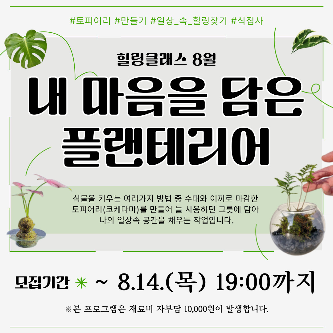 힐링클래스 내 마음을 담은 플랜테리어