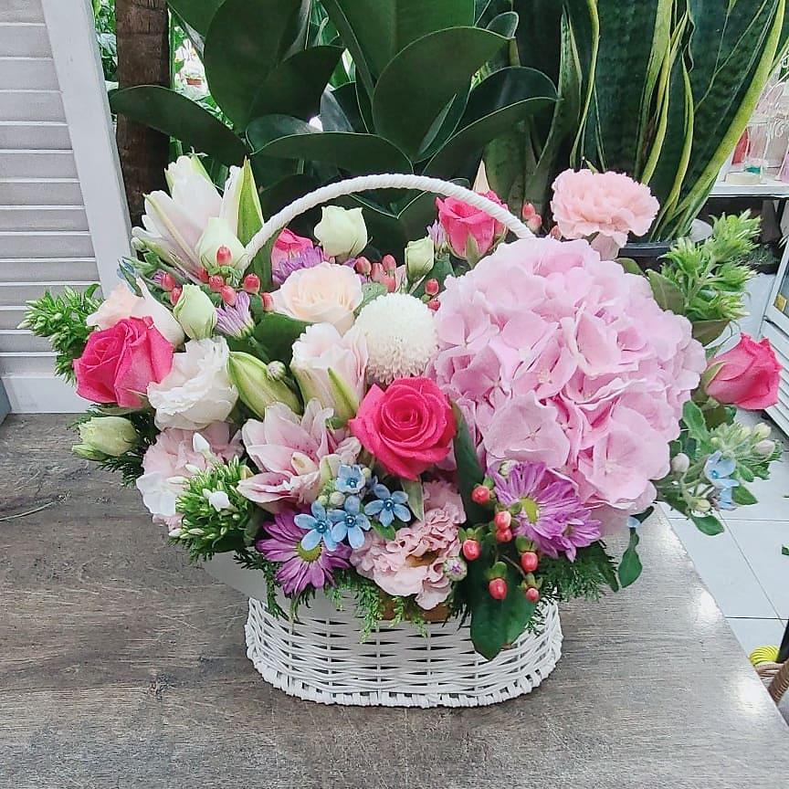 계절이야기 사진